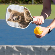 Grizzy Cubs suchen nach ihrer Mutter