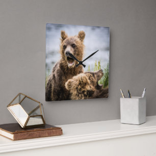 Grizzy Cubs suchen nach ihrer Mutter Quadratische Wanduhr