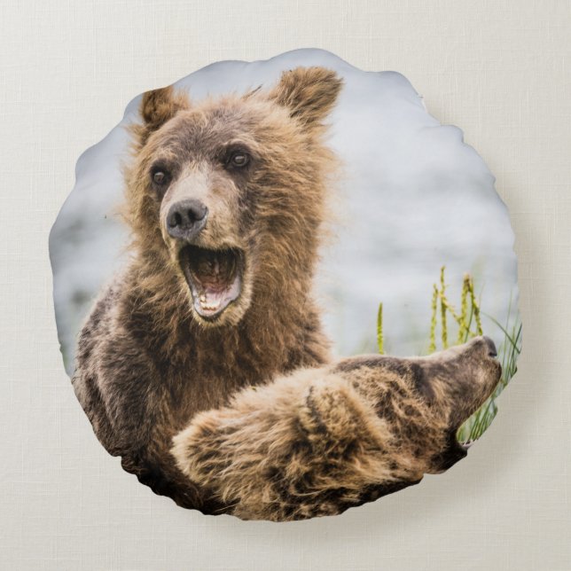 Grizzy Cubs suchen nach ihrer Mutter Rundes Kissen (Rückseite)