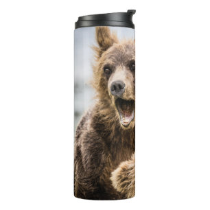 Grizzy Cubs suchen nach ihrer Mutter Thermosbecher