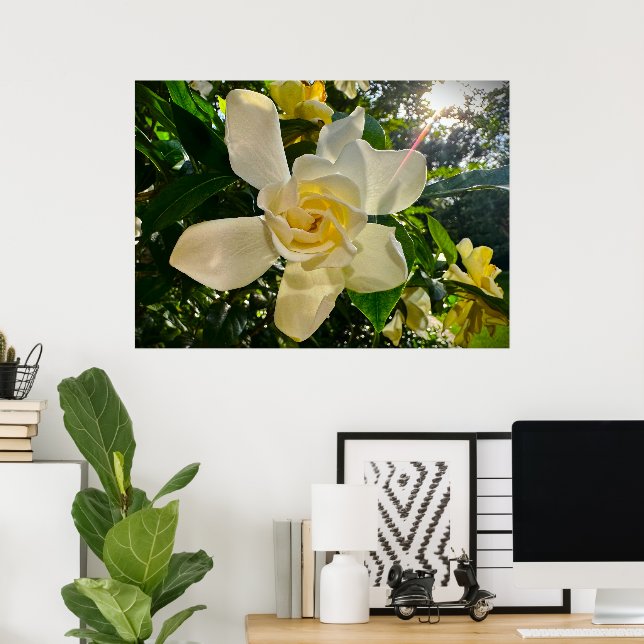 Gröden, Poster (Heimbüro)