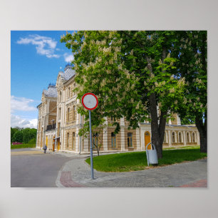 Grodno Belarus Cityscape Architecture Synagogue Poster
