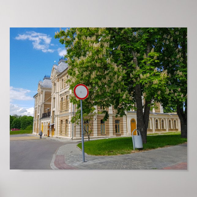 Grodno Belarus Cityscape Architecture Synagogue Poster (Vorne)