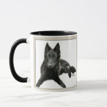 Groenendael Belgisches Schaffenhund