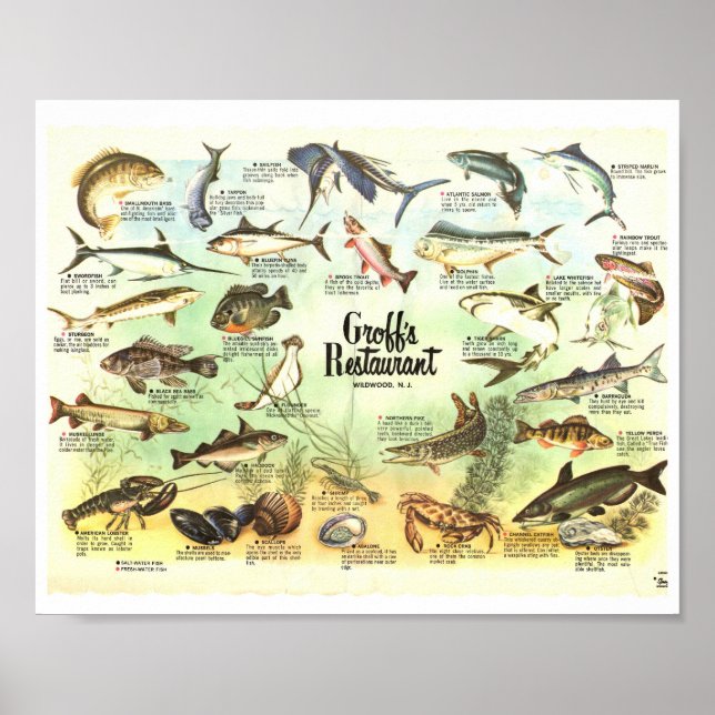 Groffs Tischset 8x10 Poster (Vorne)