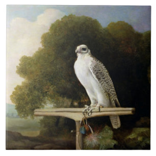 Grönland-Falke (grauer Falke), 1780 (Öl auf Plat Fliese