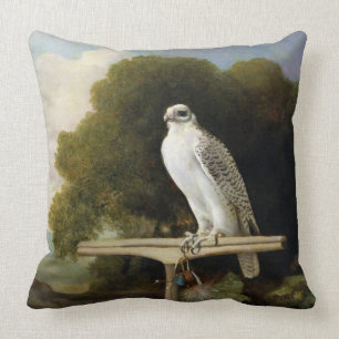 Grönland-Falke (grauer Falke), 1780 (Öl auf Plat Kissen