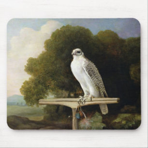 Grönland-Falke (grauer Falke), 1780 (Öl auf Plat Mousepad