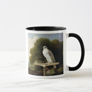 Grönland-Falke (grauer Falke), 1780 (Öl auf Plat Tasse
