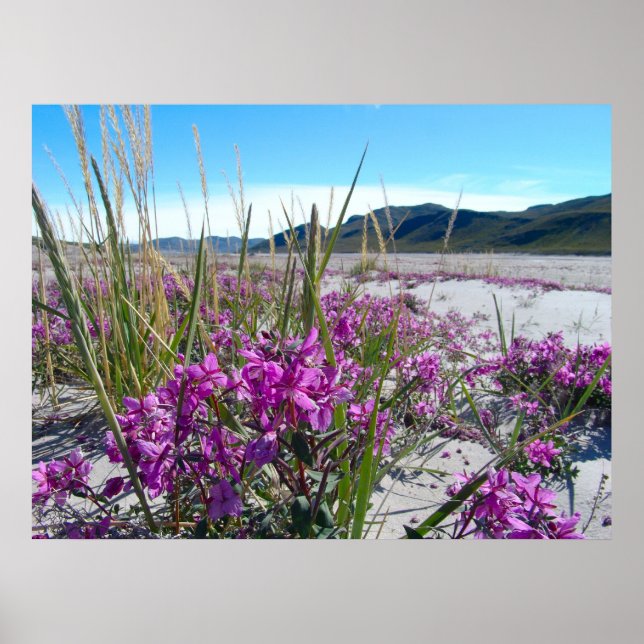 Grönland Poster (Vorne)