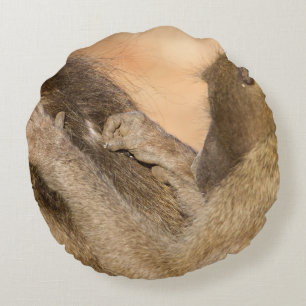 Grooming Baboons Rundes Kissen