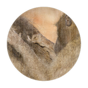 Grooming Baboons Schneidebrett