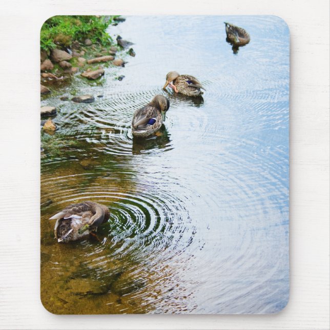 Grooming Ducks 2 Mousepad (Vorne)