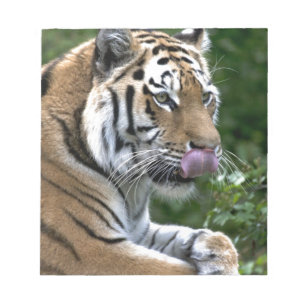 Grooming Tiger Notizblock