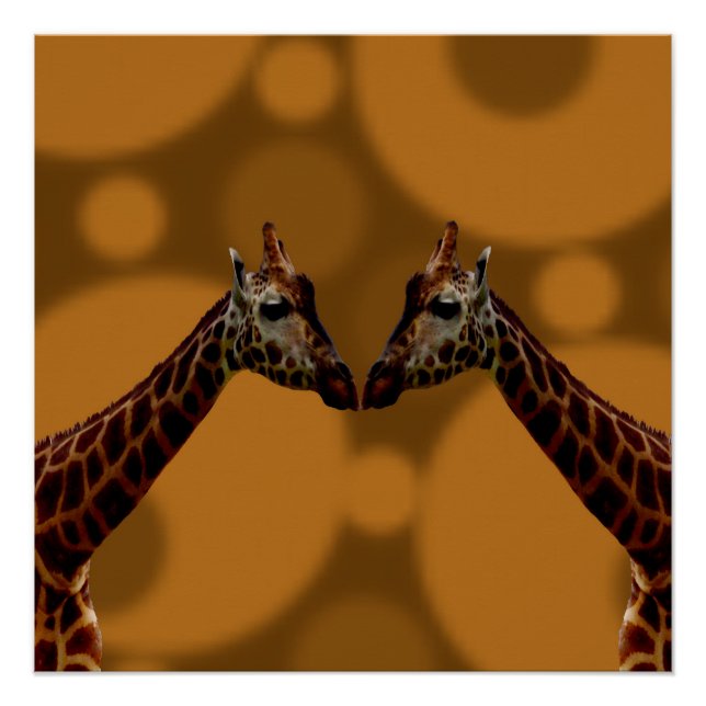 Groovy Giraffen A Go, Poster (Vorderseite)