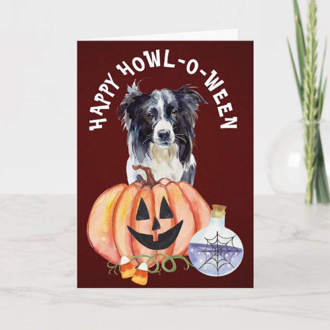 Grorder Collie Howl-o-Ween Gruß Karte (Vorderseite)