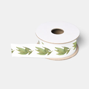 Gros-grain FEUILLES DE LAURIER FRAÎCHES Ruban Grosgrain Large