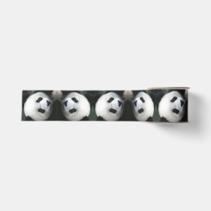 Gros-grain Ruban d'ours panda