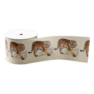 Gros-grain Ruban Tiger Grosgrain