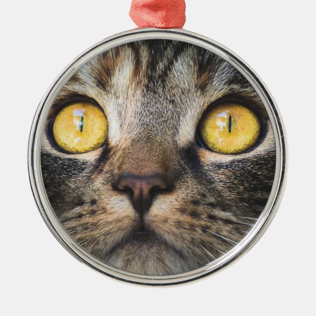 Gros plan de chat avec ornement en céramique Yello (Devant)