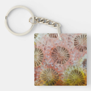 Gros plan de corail rose