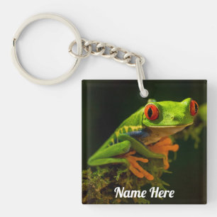 Gros plan d'une grenouille à arbre rouge #1