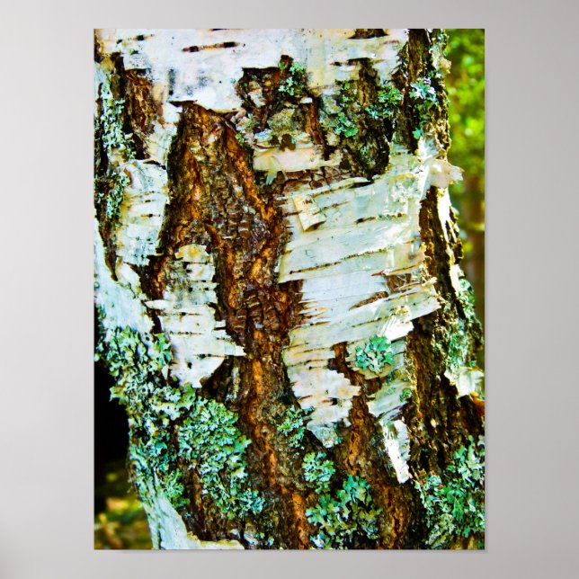 Gros plan sur une affiche (Devant)