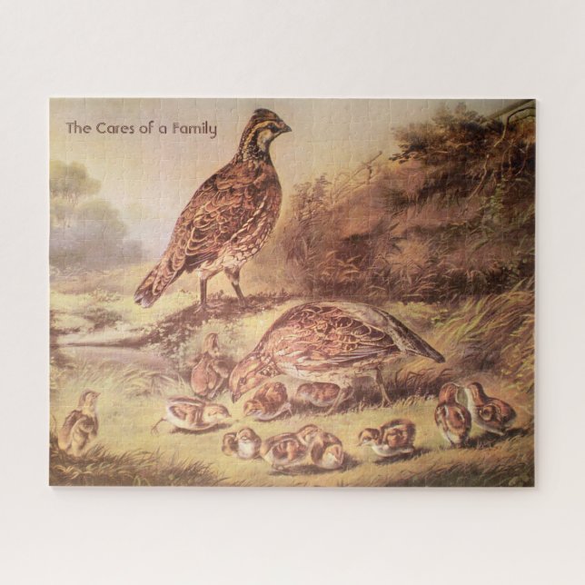 Gros puzzle Quail Family (500 pièces) (Horizontal)