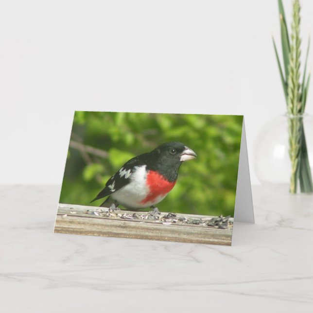 Grosbeak Denken Sie an Ihre Karte (Großdruck) (Vorderseite)