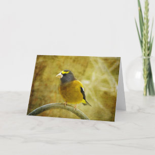 Grosbeak Grußkarte für texturierten Abend Karte