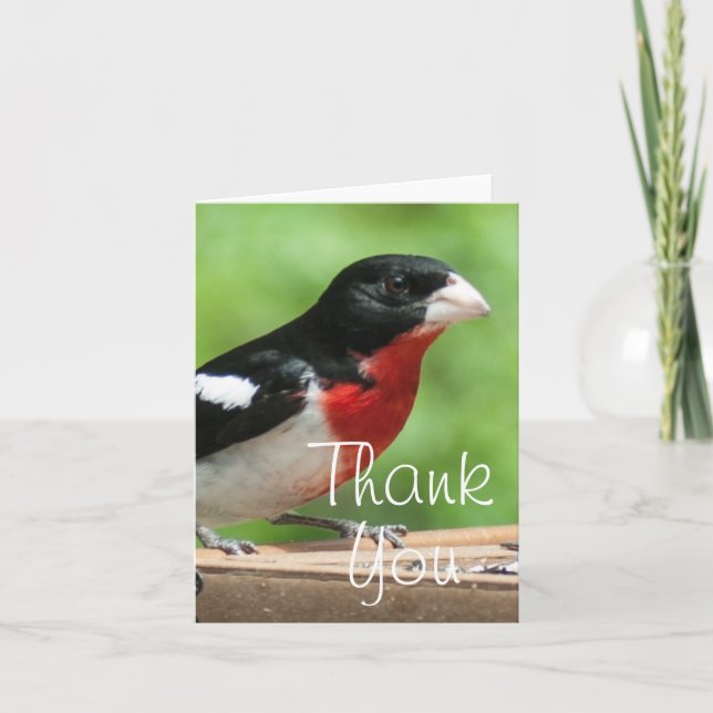 Grosbeak mit Rose Dankeskarte (Vorderseite)