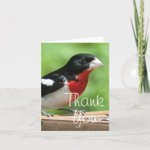Grosbeak mit Rose Dankeskarte