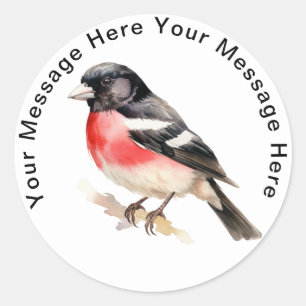 Grosbeak mit Rose Runder Aufkleber
