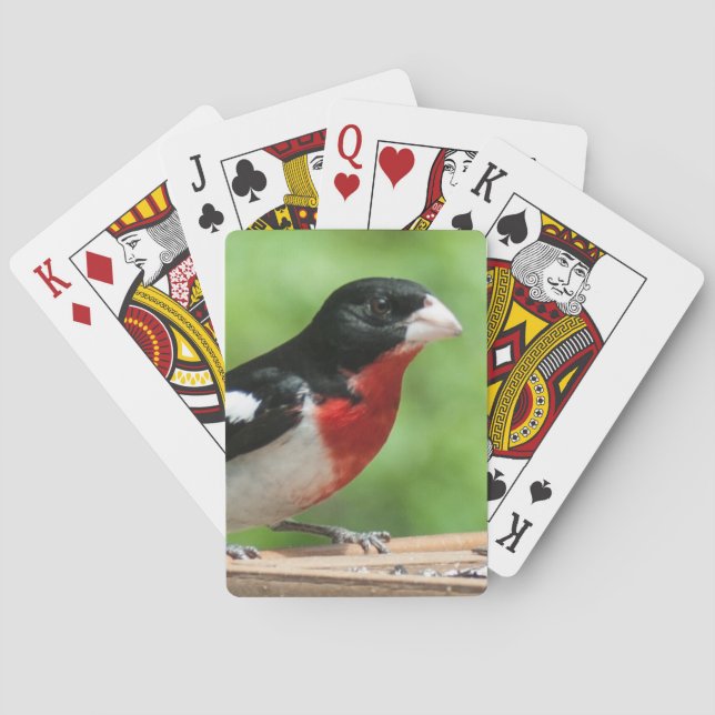 Grosbeak mit Rose Spielkarten (Rückseite)