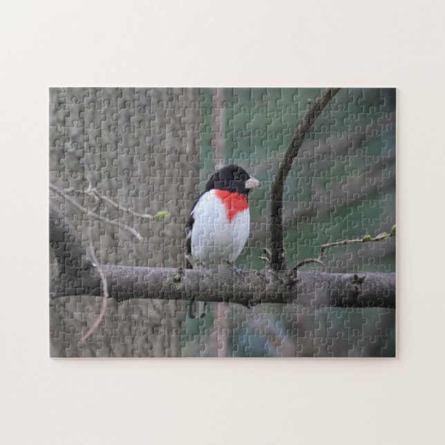 Grosbeak-Rätsel (Horizontal)