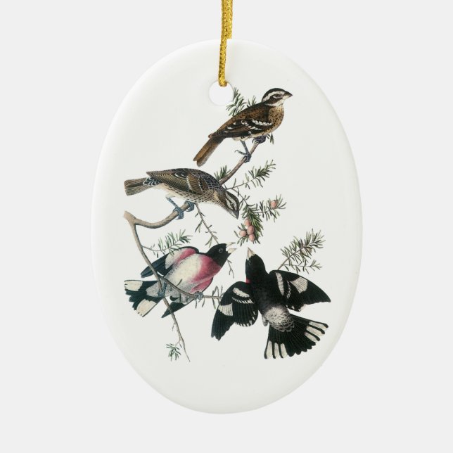 Grosbeak von Rose von Audubon Keramik Ornament (Vorne)