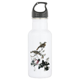 Grosbeak von Rose von Audubon Trinkflasche