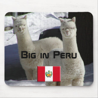 Groß in Peru Mousepad