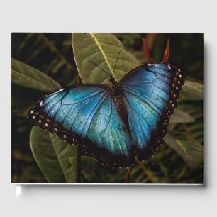 Groß, schön, blau, Schmetterling Gästebuch
