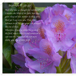 Großartig ist deine Treue! Postkarte