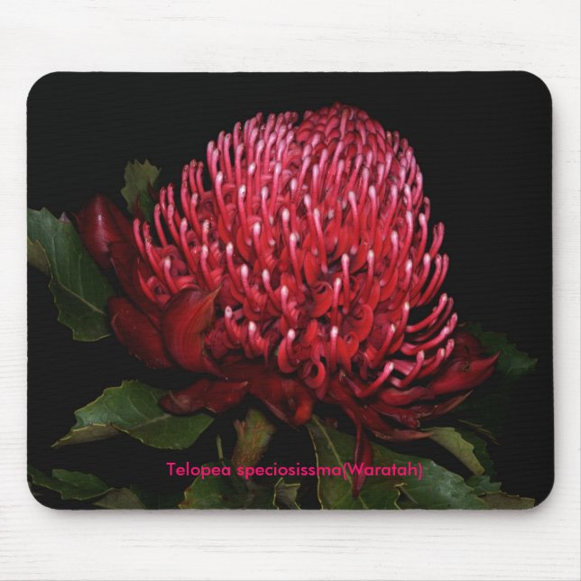 Großartige australische Dame Mousepad (Vorne)