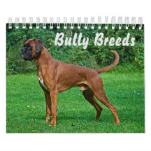 Großartige Bully-Rassen