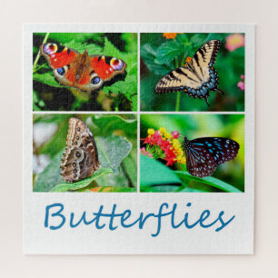 Großartige Butterfliegen-Collage, 4 Foto, Alter 1