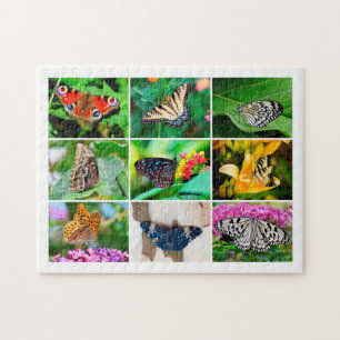 Großartige Schmetterlinge Collage, Alter 8, 252 S