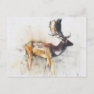 Großartiger Brache Buck 2006 Postkarte
