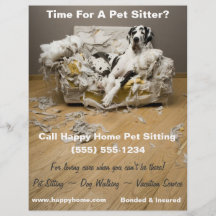 Großartiger Dan auf aufgebähtem Sofa Haustier Sitt