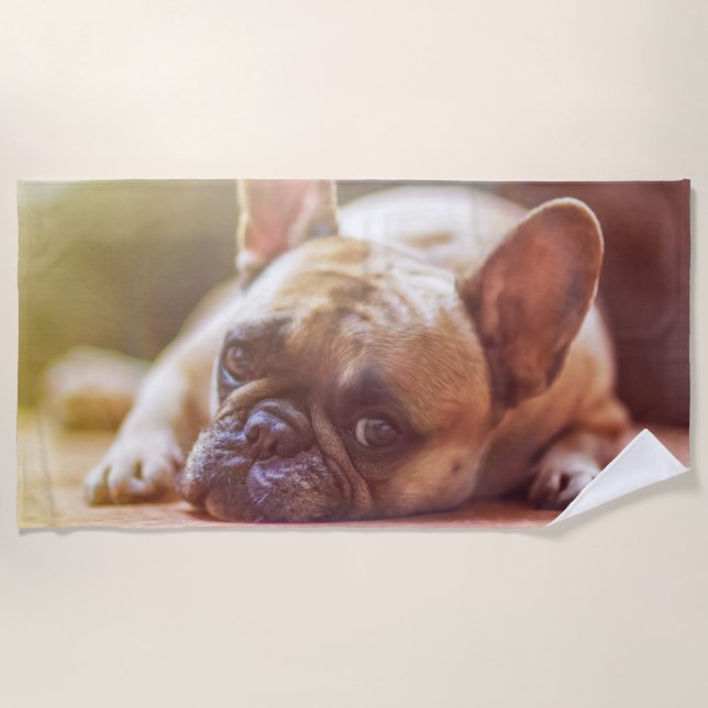 Großartiger französischer Bulldog liegt runter Strandtuch (Vorderseite)
