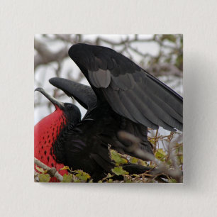 Großartiger Frigate Bird Button