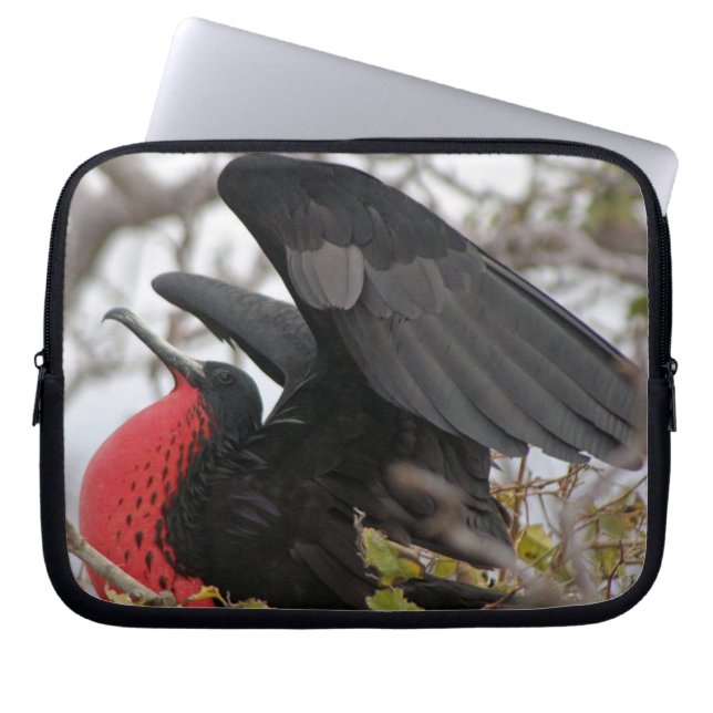 Großartiger Frigate Bird Laptopschutzhülle (Vorderseite)