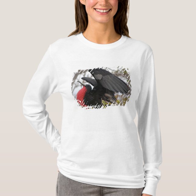 Großartiger Frigate Bird T-Shirt (Vorderseite)